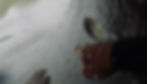 IMG-1088 - David Porter_edited.jpg