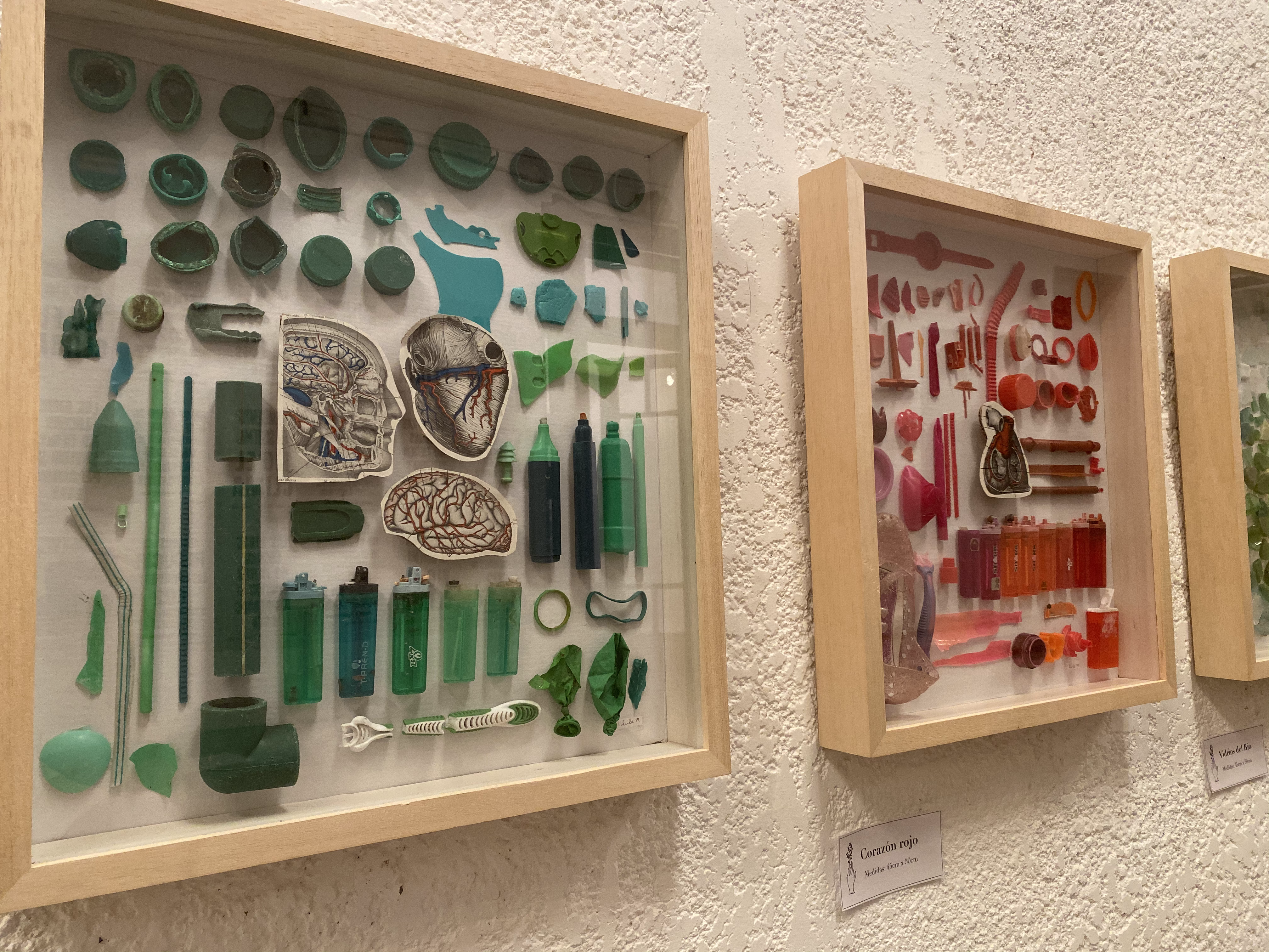 SUSTAINABLE ART GALLERY