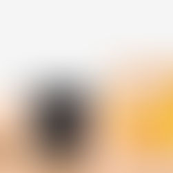 TerminaliaVera Bitterfruchtpulver von Pharmos Natur