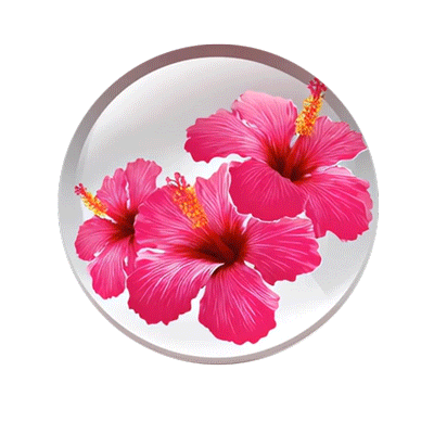 Tropical-Button.gif