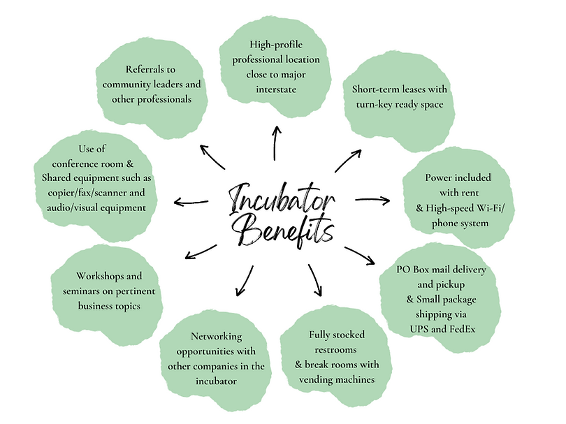 INCUBATOR BENEFITS