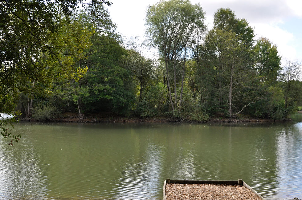 Lake photos 4.9.17 099.JPG