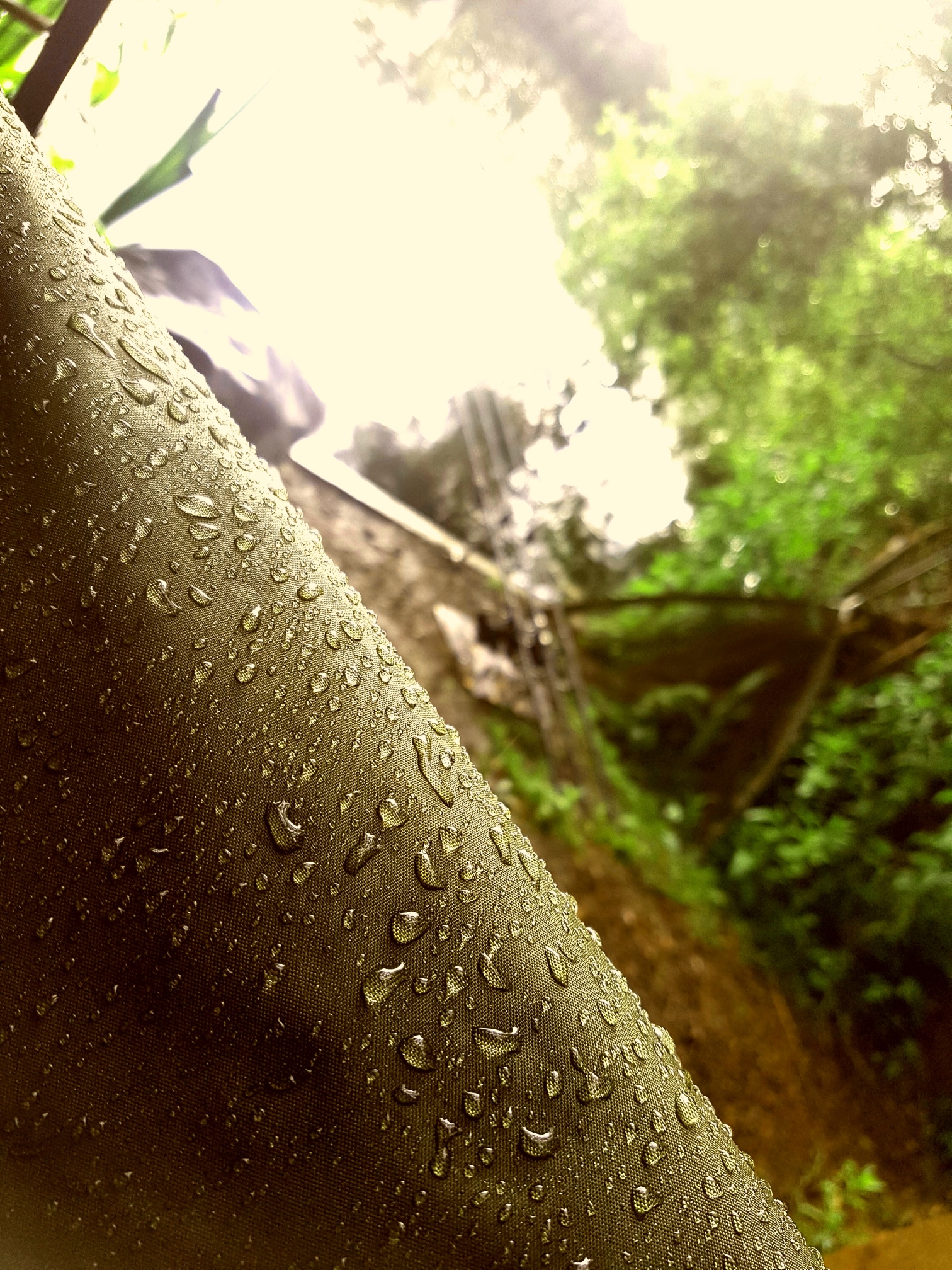 RULES Swan Valley Lake