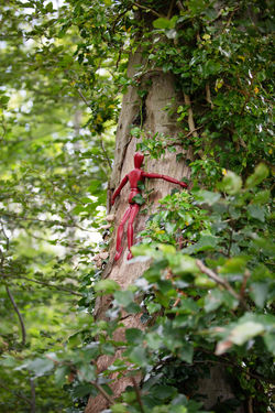 © Knut Waschkau, 2021