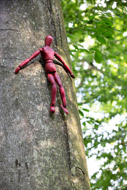 © Knut Waschkau, 2021