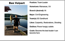 Volpert.PNG