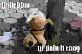 images.jpeg