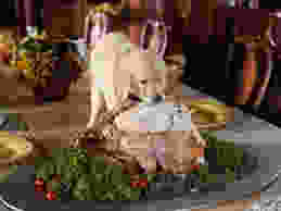 dog turkey.jpeg
