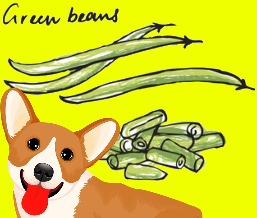 Green beans are a nutritional powerhouse that provide vitamins and minerals and are a great addition to a dog's diet