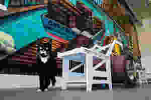 jpeg.jpeg