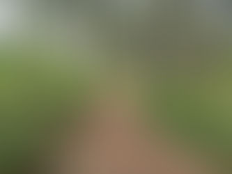 Dieu veut que tous les hommes soient sauvés.