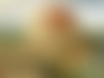 Esprit Saint ou esprit de Babel ?