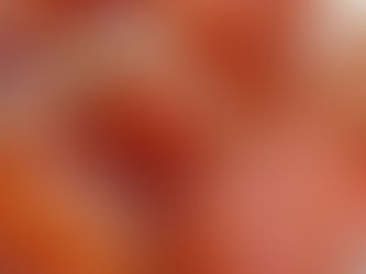 Autumn Equinox Gems - Carnelian