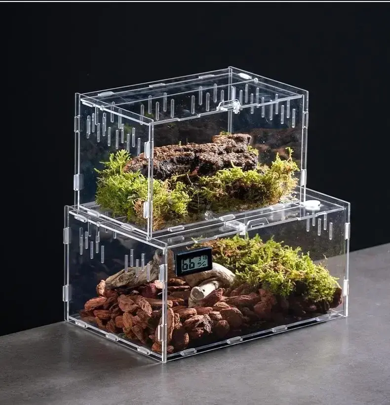 Thumbnail: Transparent Acrylic Reptile Terrarium Habitat Box Nano Arboreal Tarantula Enclos