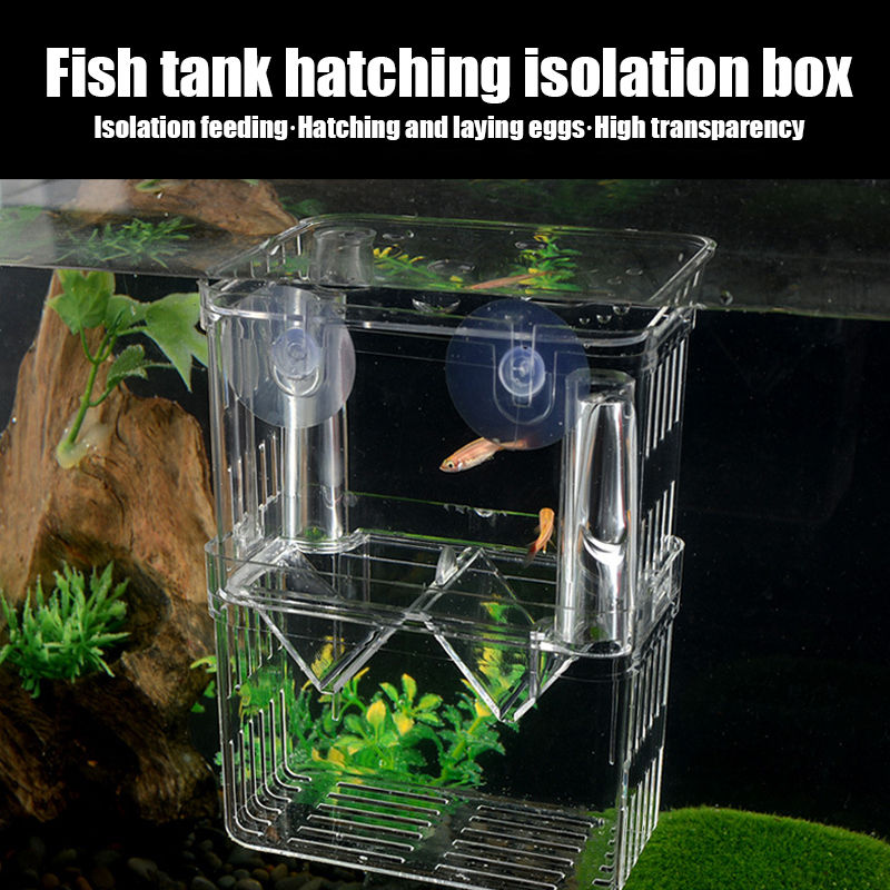 Thumbnail: 1PC Aquarium Fish Breeder Box Durable Betta Fish Tank Fish Breeding Isolation Bo