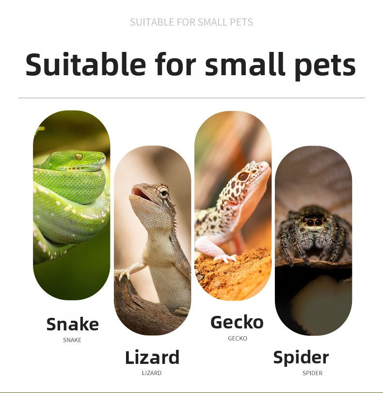 Thumbnail: Extra Large Reptile Basking Platform – Flat Rock Resin Shelter for Snakes, Ski