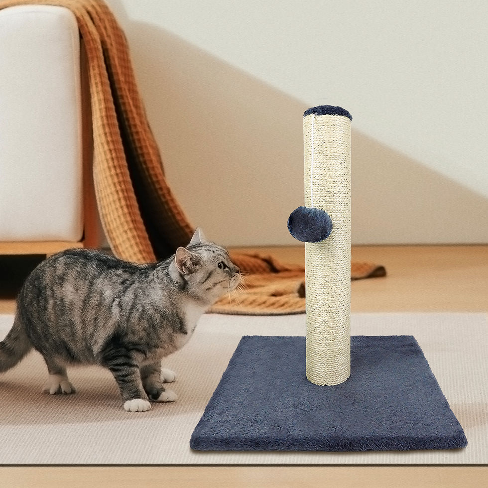 Thumbnail: Cat Scratching Post for Indoor Cats, Pet Vertical Climbing Resting Activity Towe