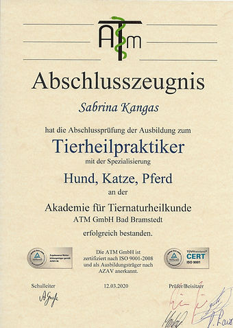 abschluszeugnis.jpg