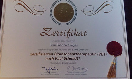 Bioresonanz_Zert..jpg