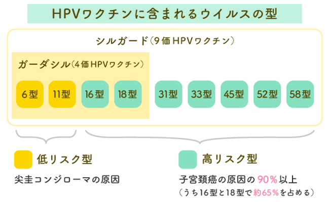 HPVワクチンに含まれるウイルスの型.png