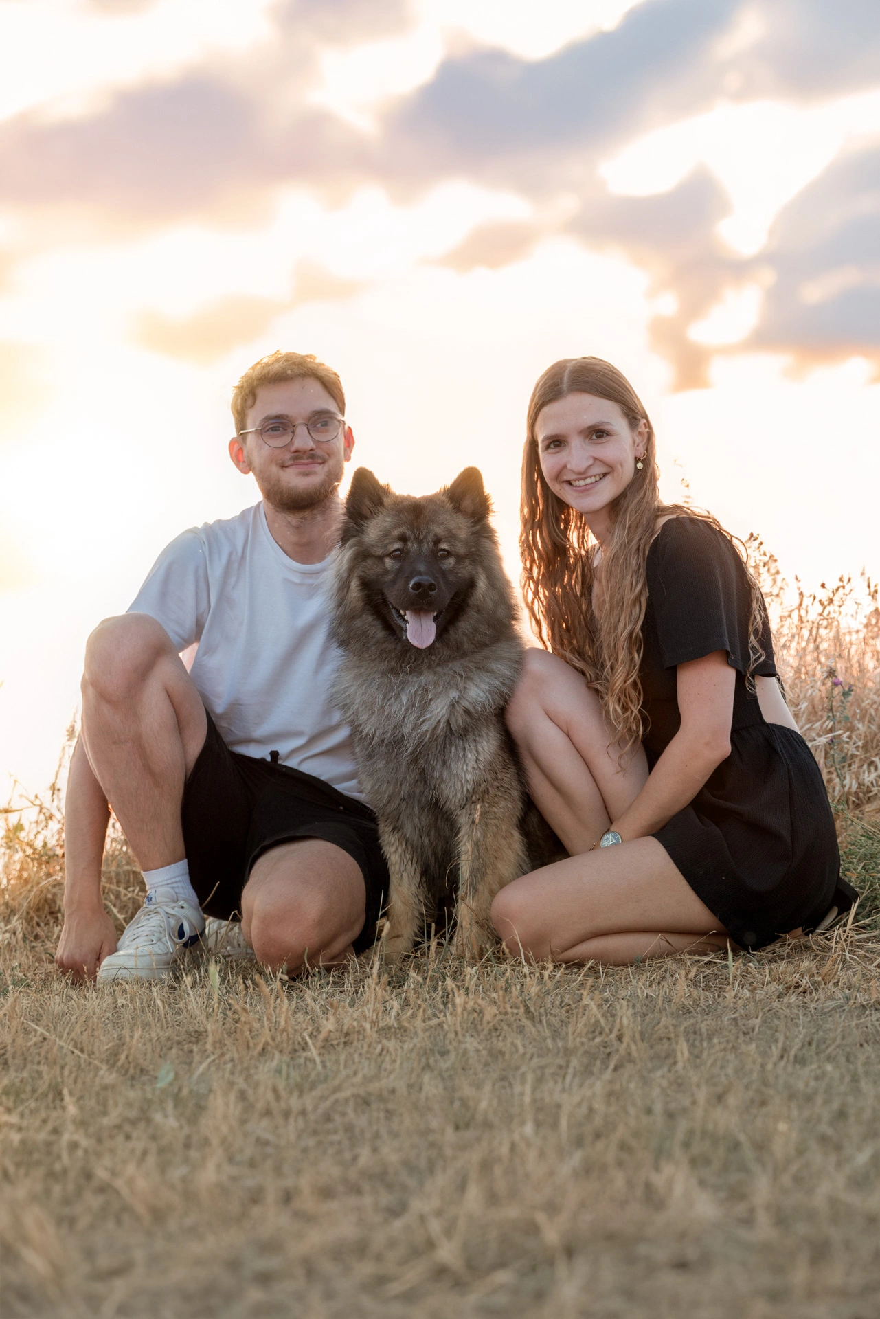 photographe chien la rochelle port de l'houmeau plage parc 