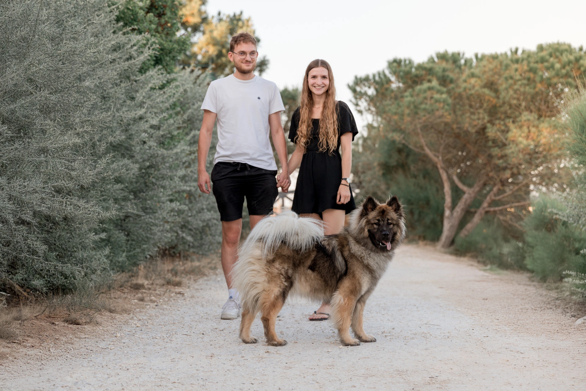 photographe chien la rochelle port de l'houmeau plage parc 