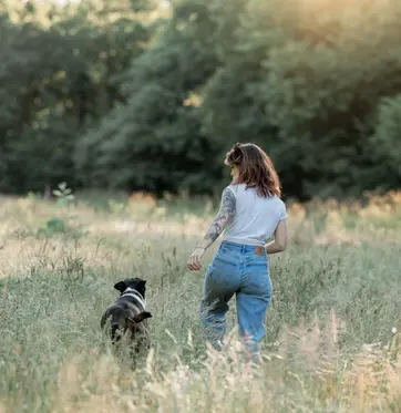 photographie d'un chien avec sa maitresse, ils sont de dos et court dans les hautes herbes à la rochelle au couché du soleil dans un parc
