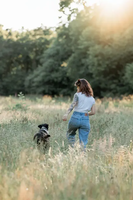 photographie d'un chien avec sa maitresse, ils sont de dos et court dans les hautes herbes à la rochelle au couché du soleil dans un parc