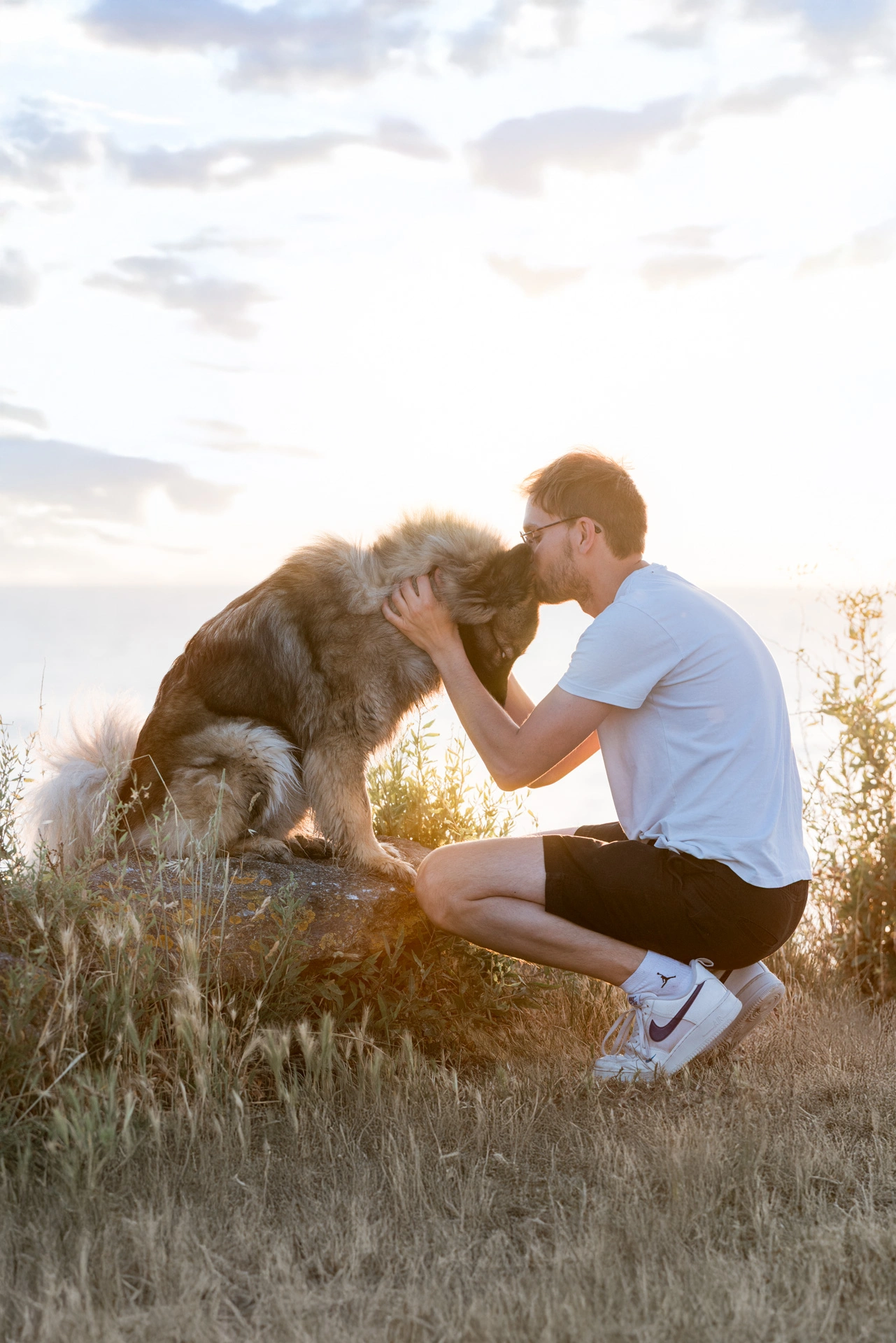 photographe chien la rochelle port de l'houmeau plage parc 