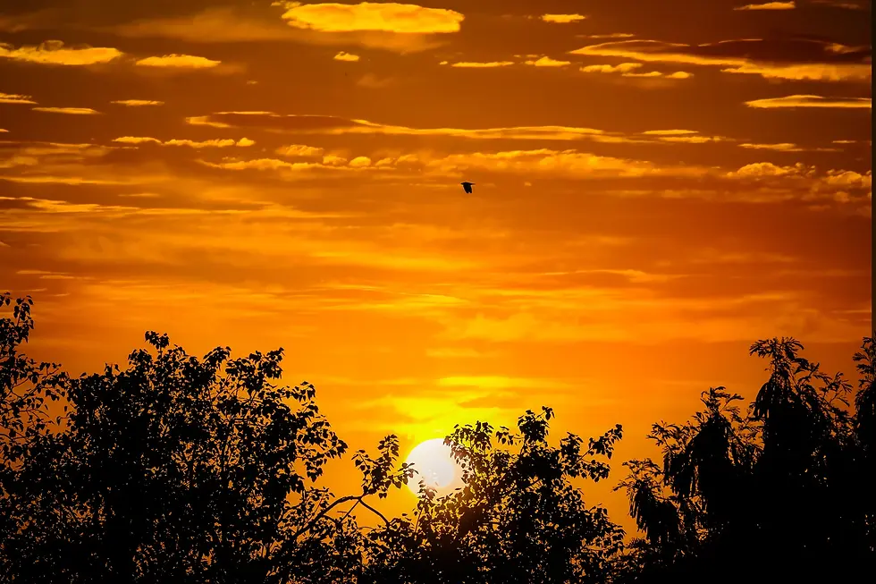sun_bg.webp