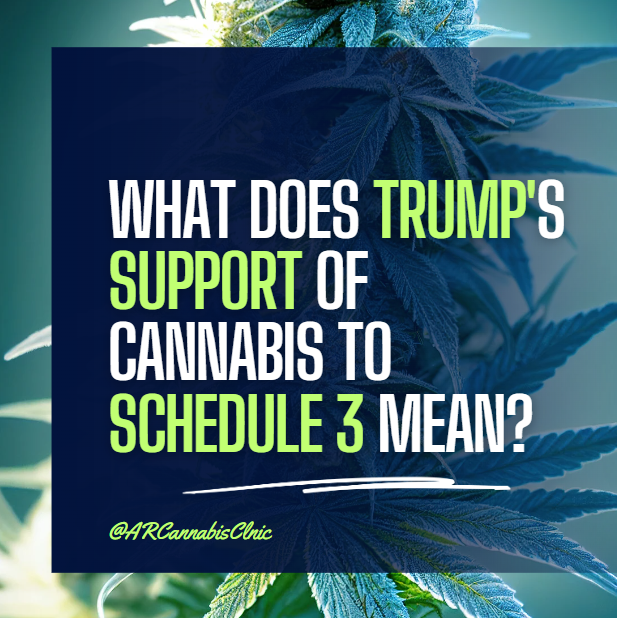 Marijuana plants: What Does Trump's Support Of Cannabis To Schedule 3 Mean?