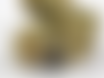 Best THC-Dominant Strains in the 2023 Cannabis Market: A Comprehensive Guide