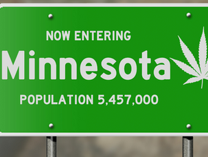 Apply for a Minnesota Medical Marijuana Card: 2023 Guide