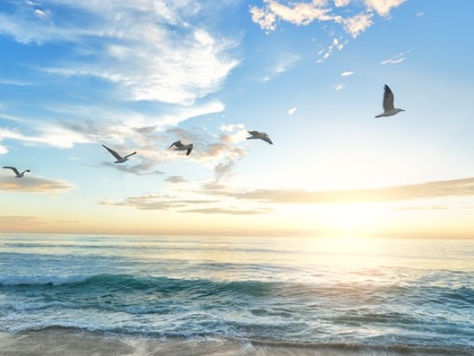 The Christian & The World