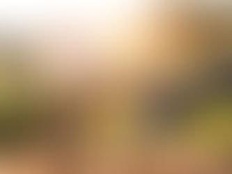 Three Dynamics of a Successful Life