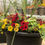 Thumbnail: 22”Planters