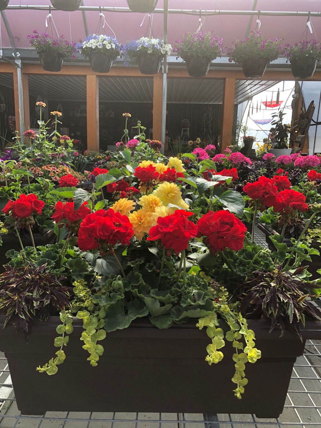30” Window Box