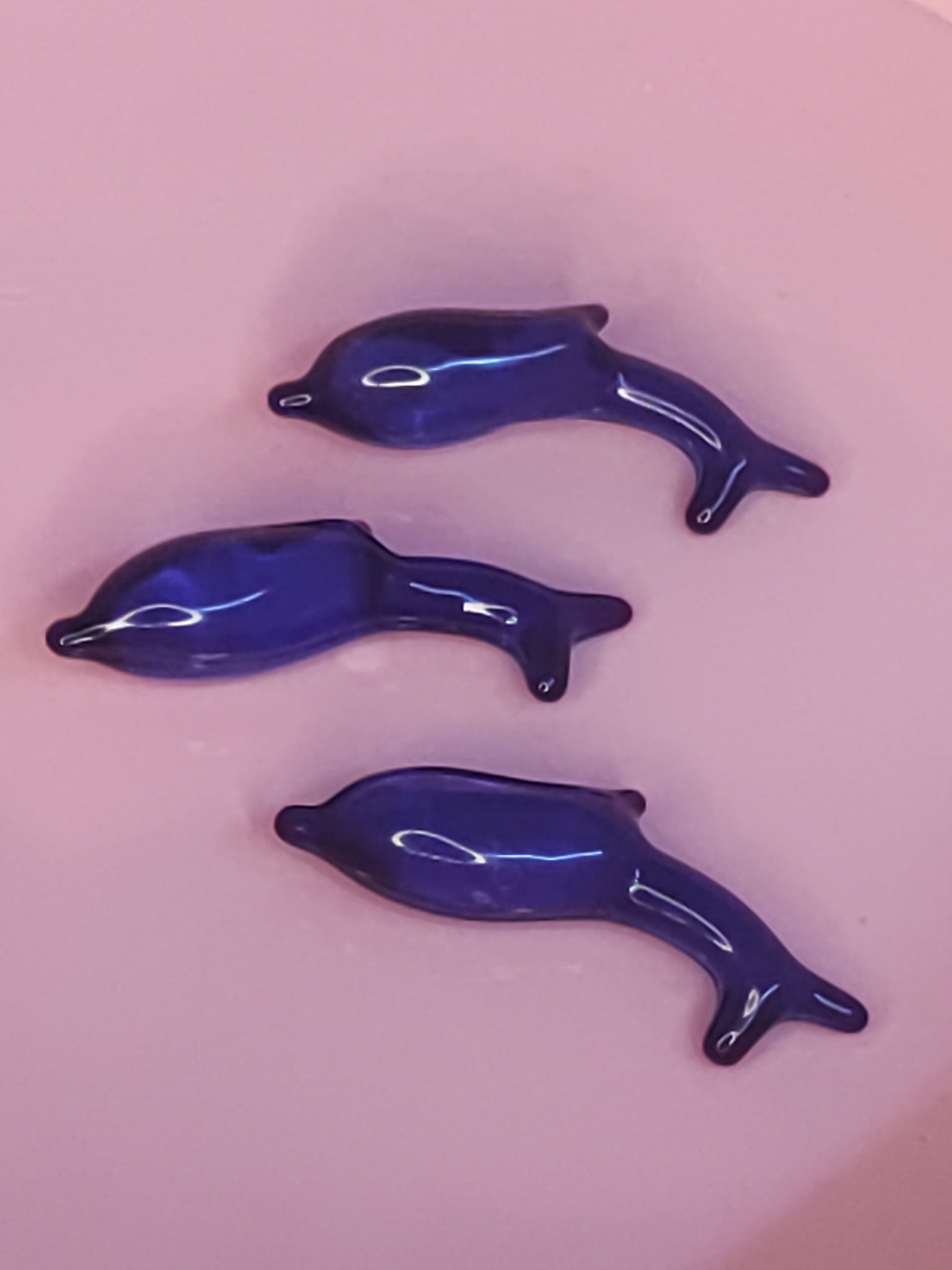 dauphin parfum marine