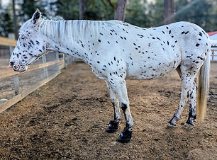 PXL_20251022_165141927~2 (2).jpg