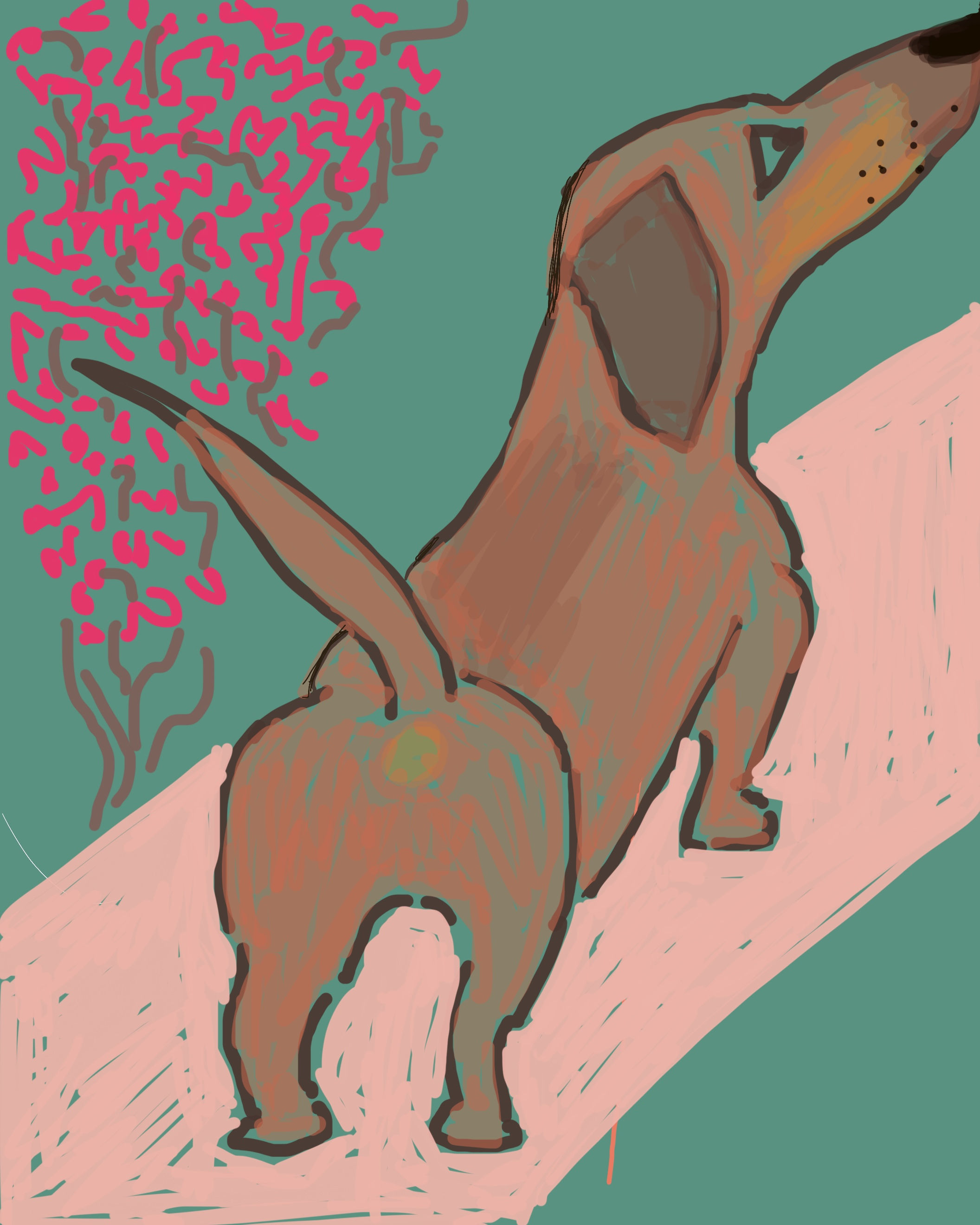 Hotel Hound Explores