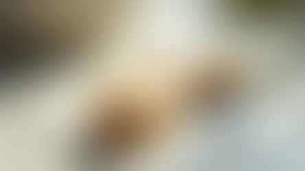 Discover the Transformative Benefits of Gua Sha for Your Skin