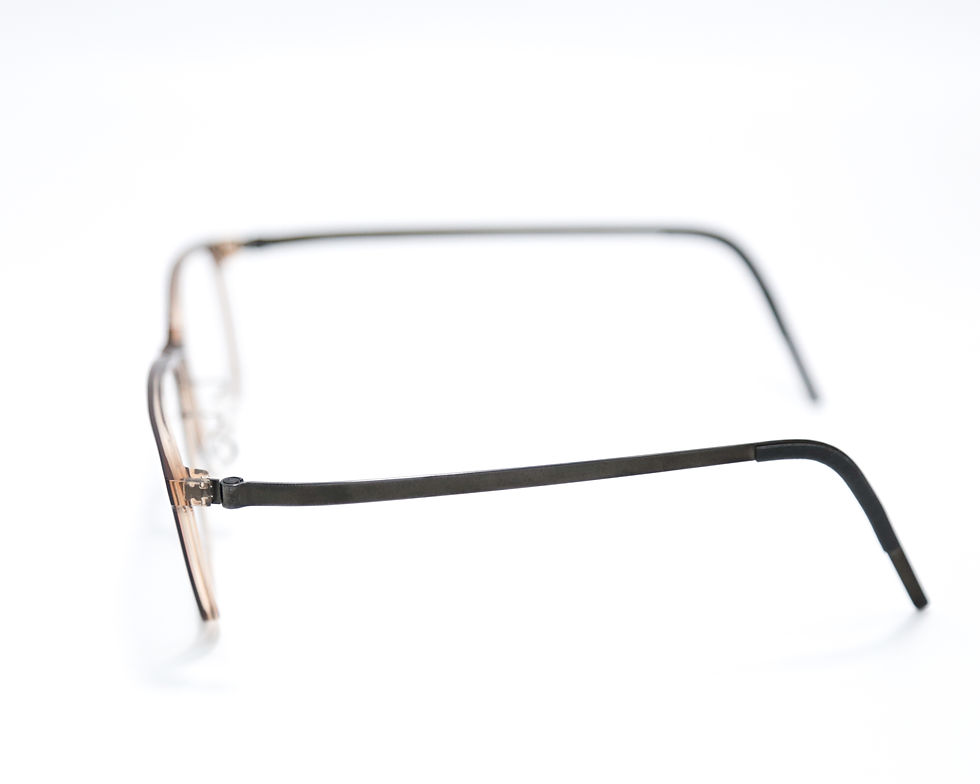ภาพขนาดย่อ: กรอบเเว่น LINDBERG 1231 53-20-145 207 COL.AC81