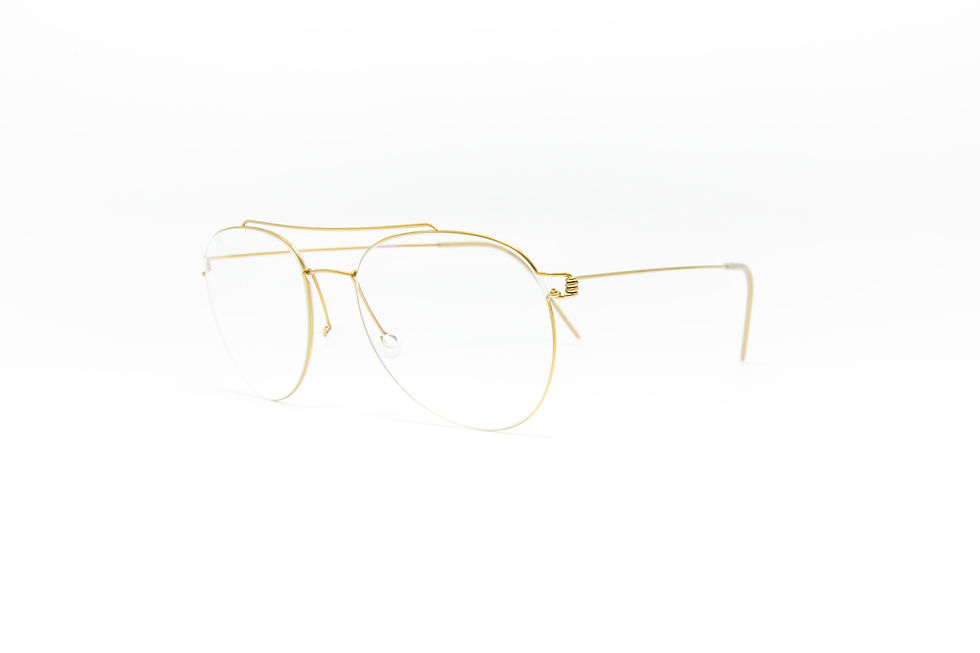 ภาพขนาดย่อ: กรอบเเว่น LINDBERG SONNY 53-17-145 COL.PGT