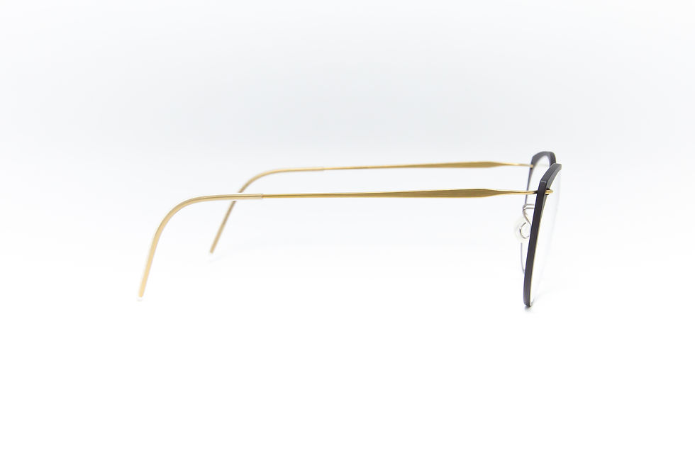 ภาพขนาดย่อ: กรอบเเว่น LINDBERG 6564 50-17-140 T.803 COL.D16/GT