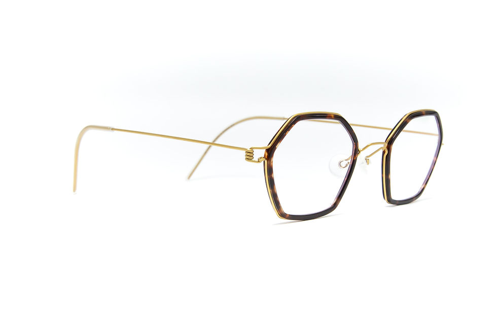 ภาพขนาดย่อ: กรอบเเว่น LINDBERG RUI 45-22-145 T.BS COL.K204/PGT