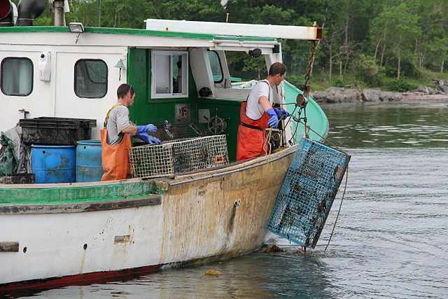 Saving Maine: The Heart of America’s Lobster Industry
