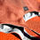 Miniaturbild: R3_007