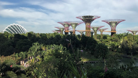 Gardens By The Bay | Singapur