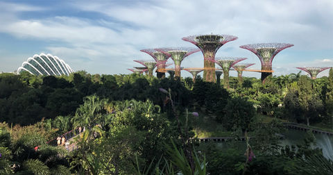 Gardens By The Bay | Singapur