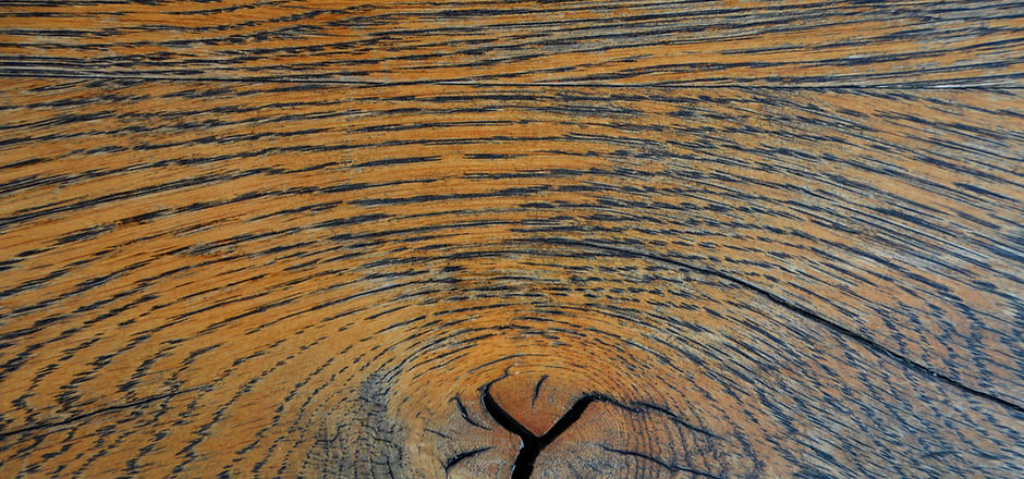 oak-1532142.jpg